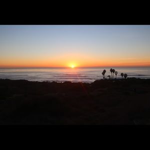 Meet your Posher, Tobey